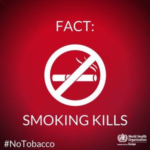 Image post by @unitednations on Instagram