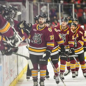 Image post by @chicagowolves on Instagram