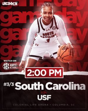 Image post by @gamecockwbb on Instagram