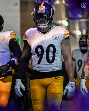Image post by @steelers on Instagram