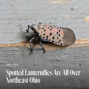 Image post by @clevelandmagazine on Instagram