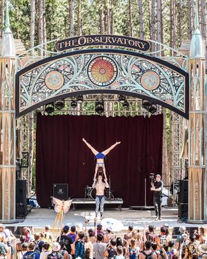 Image post by @electric_forest on Instagram