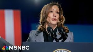 Video post by @msnbc on YouTube