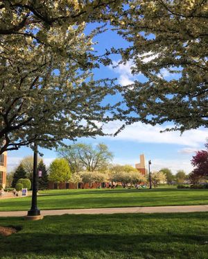 Image post by @olivetnazarene on Instagram