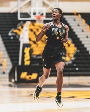 Image post by @uapblionswbb on Instagram