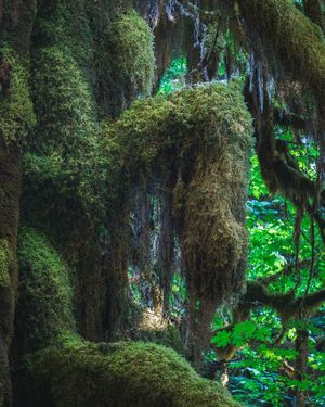 Image post by @nationalparkscollective on Instagram