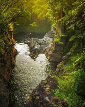 Image post by @nicktroutmankayak on Instagram