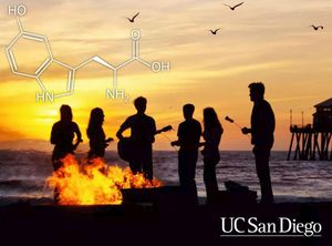 Image post by @ucsdadmissions on Instagram