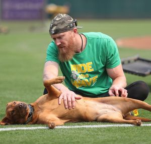 Image post by @mlbcut4 on Instagram