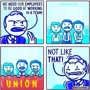 Image post by @iubac on Instagram