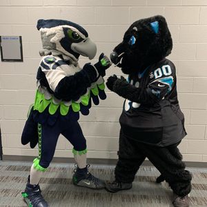 Image post by @blitztheseahawk on Instagram