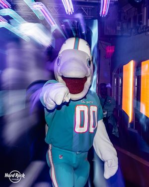 Image post by @hardrockstadium on Instagram