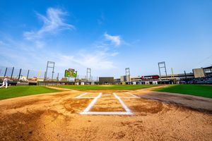 Image post by @thechicagodogs on Instagram