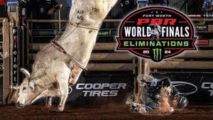 Video post by @pbr on YouTube