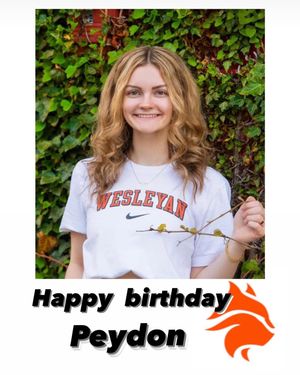 Image post by @wvwc_vb on Instagram