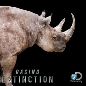 Image post by @discovery on Instagram