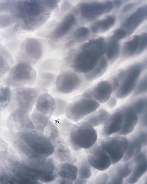 Image post by @fubiz on Instagram