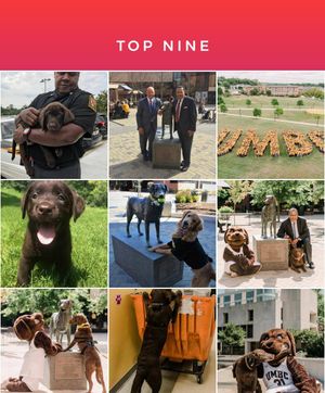 Image post by @umbclife on Instagram