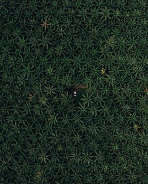 Image post by @dronepals on Instagram