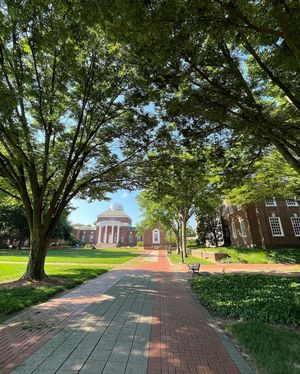 Image post by @udelaware on Instagram