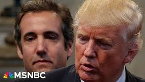 Video post by @msnbc on YouTube