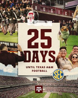 Image post by @tamu on Instagram