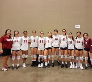 Image post by @mytribevolleyball on Instagram