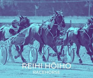 Video post by @nzhorseambulancetrust on Facebook