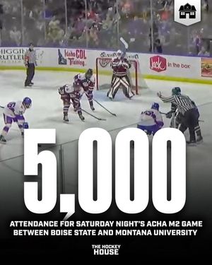 Image post by @hockeyhousepod on Instagram