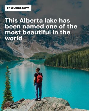 Image post by @curiocitycalgary on Instagram