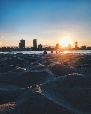 Image post by @willtrogdon on Instagram