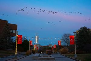 Image post by @stonybrooku on Instagram