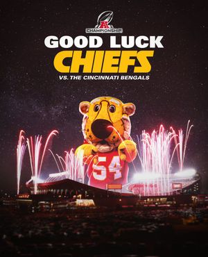 Image post by @MizzouAthletics on Twitter