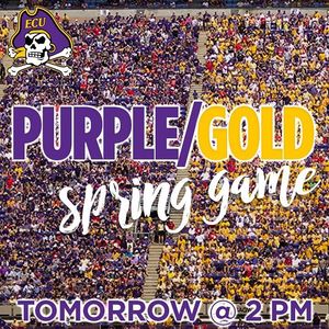 Image post by @ecuathletics on Instagram
