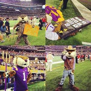 Image post by @lsumiketiger on Instagram