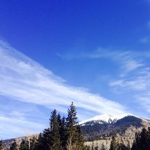 Image post by @nauflagstaff on Instagram