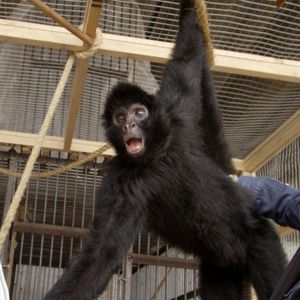 Image post by @animalplanet on Instagram