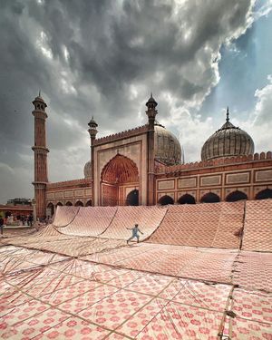 Image post by @moment on Instagram