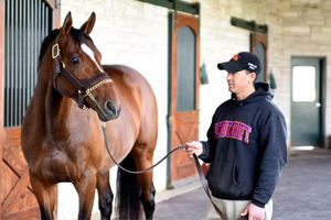 Image post by @spendthriftfarm on Instagram