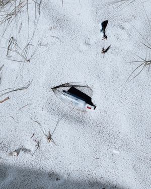 Image post by @tielerfriedline on Instagram