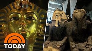 Video post by @today on YouTube