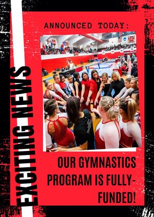 Image post by @SEMOGymnastics on Twitter