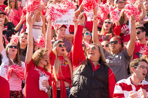 Image post by @isuredbirds on Instagram