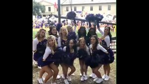 Image post by @lsutigergirls on Instagram