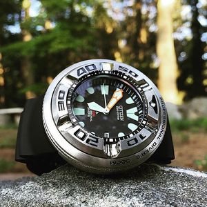 Image post by @citizenwatchus on Instagram