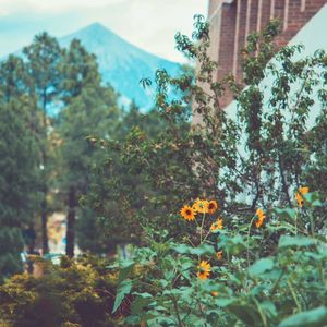 Image post by @nauflagstaff on Instagram