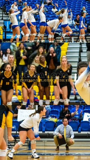 Image post by @NanooksVB on Twitter