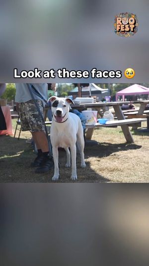 Video post by @LiveLikeRoo on Facebook