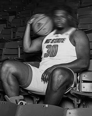 Image post by @packreport on Instagram