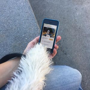 Image post by @yourfuzzy on Instagram